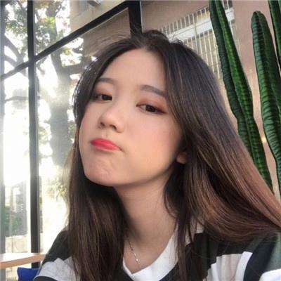 中土纪元破解版下载