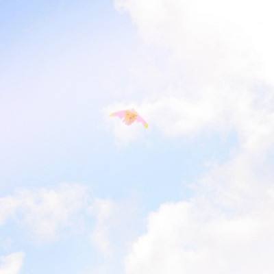 新射雕群侠传之铁血丹心网易版手游下载